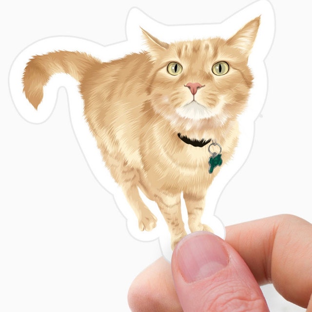 Custom Cat Portrait Stickers